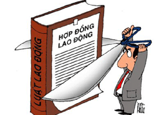 Hợp đồng lao động vay tín chấp
